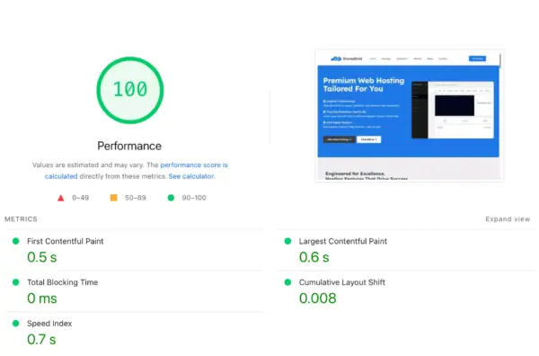 Image showing a Google PageSpeed score of 100.
